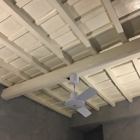 Domizia Floor