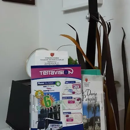 쉘터 인