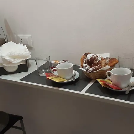 쉘터 인 로마