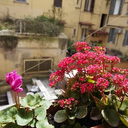 罗马帕拉迪尼旅舍 旅馆 *