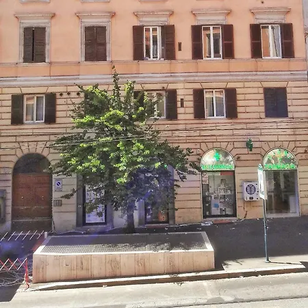 Nova * Roma
