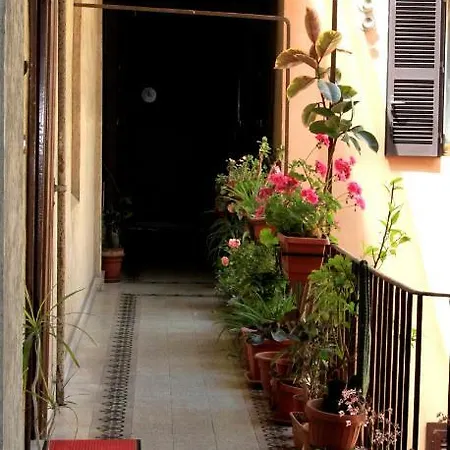 Mandruchello's *