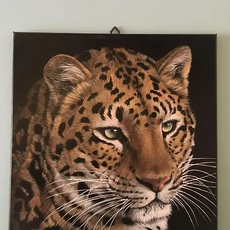 Il Leopardo Holiday home Rome