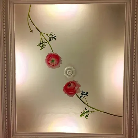 Appart. Delizioso Nel Centro Di Vaticano Apartment
