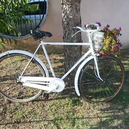 Curti Homestay szállás *