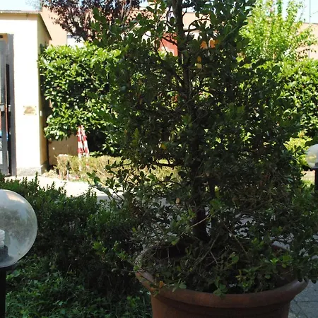 Otel Octavia Roma