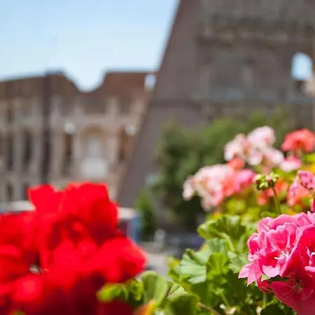 Royal House Roma