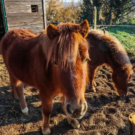 La Melazza Farm stay Rome