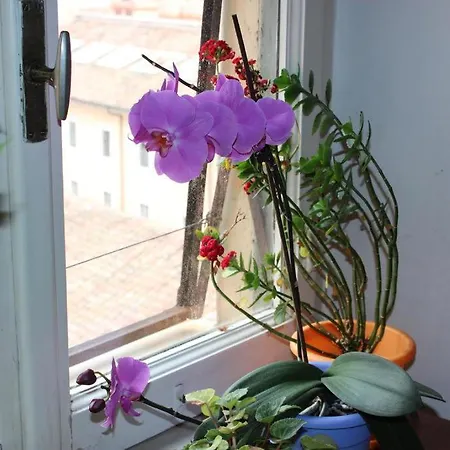 Esquilino Di Yan Řím