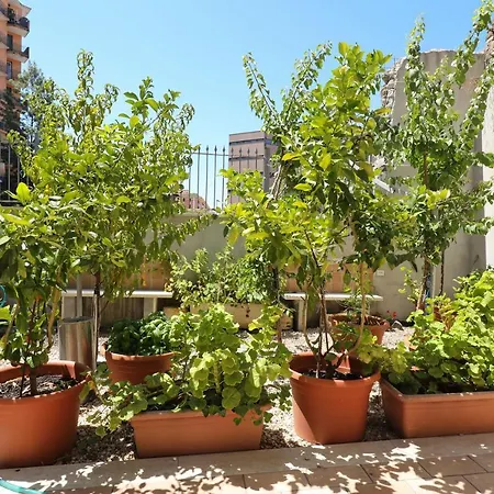 Casa vacanze Termini Irpini