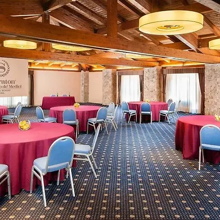 Hotel Sheraton Parco De Medici Řím