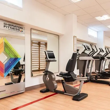 Hotel Sheraton Parco De Medici Rom