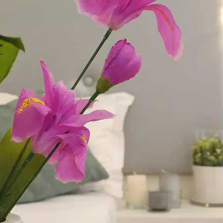 Spagna Ave Bed & Breakfast 3*