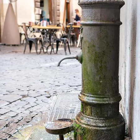 Guest house Guest House O Affittacamere Magenta Fico 2 Rome
