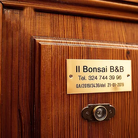 Il Bonsai * Řím