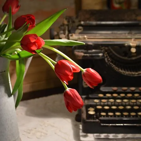 Appartement Lovely Writer *