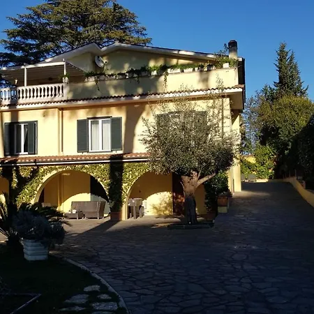 Orsini *