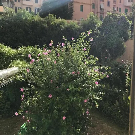 Cris - Close To Vatican - Centre&stadiumarea Apartment Rome
