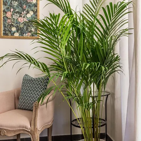 Flora Metro Vittorio Apartment Rome