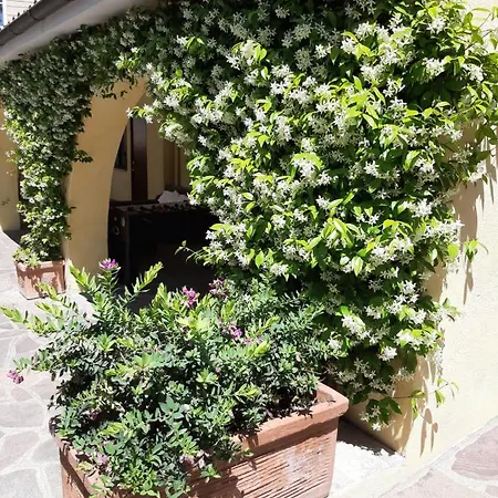 Orsini * Rome