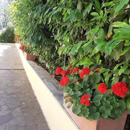 Orsini * Rome