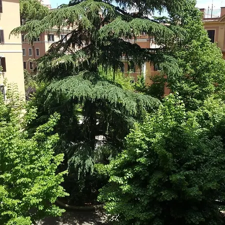 Bed & Breakfast A Casa Di Lia A Roma Rome