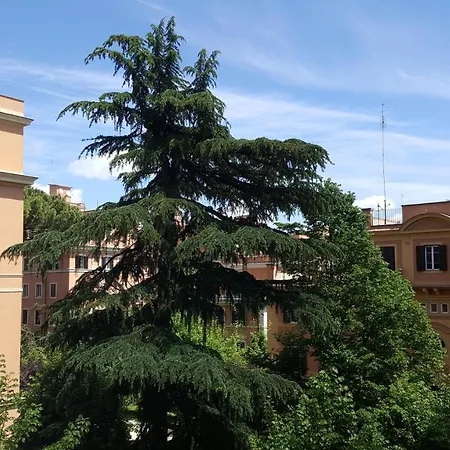 Bed & Breakfast Bed & Breakfast A Casa Di Lia A Roma