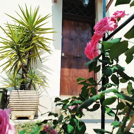 Homestay Valletta Fiorita