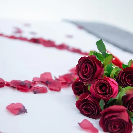 Bed & Breakfast - Il Nido D'amore Rome