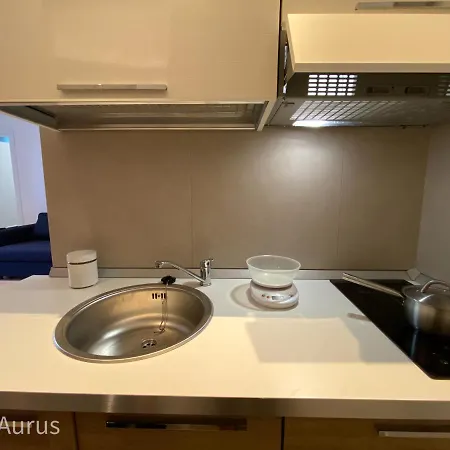 Aurus Rome