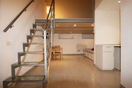 Apartment Loft In Town Domenichino At Coloseum Rome