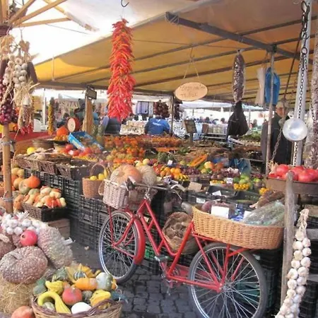 Cartari9 * Rome
