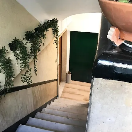 Domus Re Di *