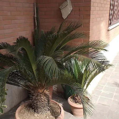 La Casa Di Ro Bed & Breakfast *