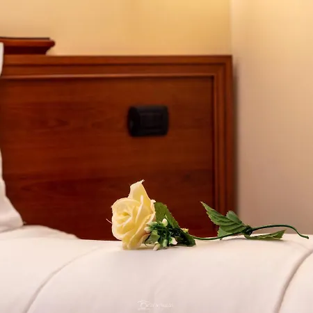 Caroline Guest house