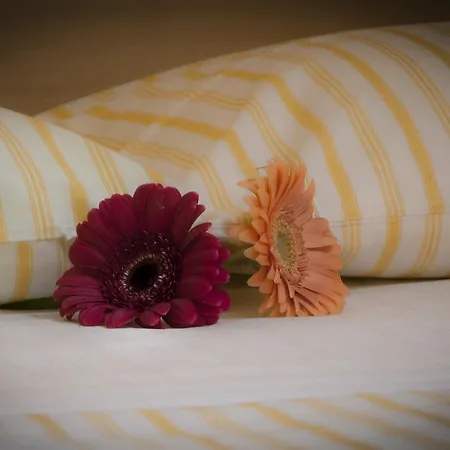 Bed and breakfast On The Rainbow