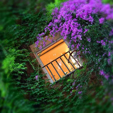 Bio Raphael - Relais & Chateaux 5*