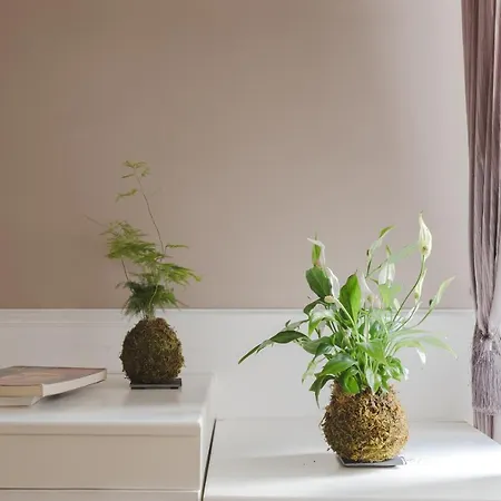 Residenza Il Duca Guest house Rome