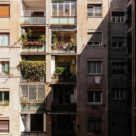 Residenza Il Giglio Affittacamere Roma