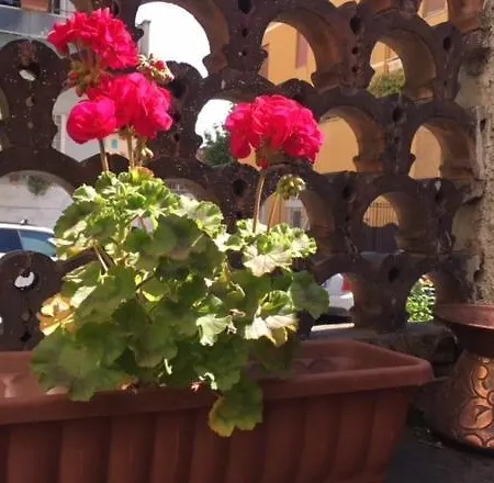 B&B Relais Fiorelli
