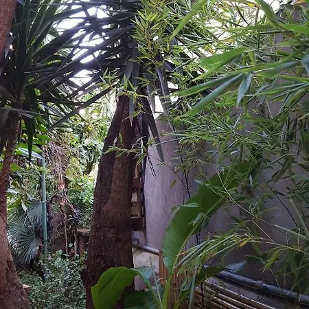 Palm Gallery Garden House Hotel