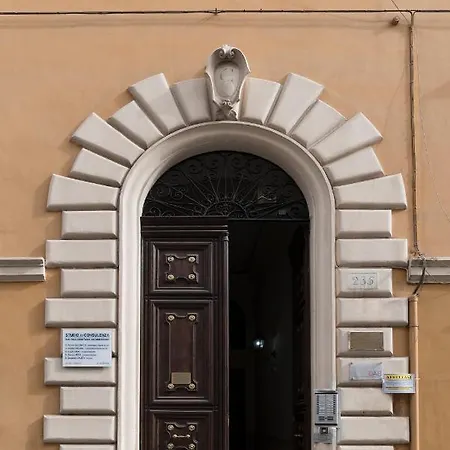 Superdab Rome