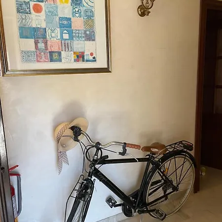 B&B 