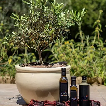 Appia Antica 5* Roma