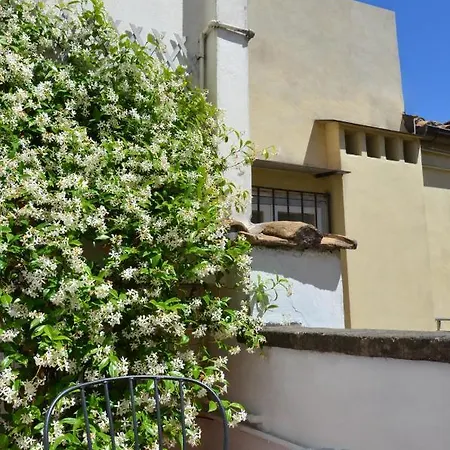 Luxury Pantheon Apartment Rome