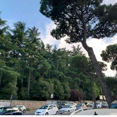 San Pietro Roma