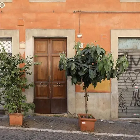 Iflat Yellow Monti * Roma