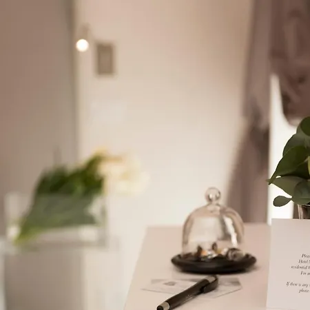 Hotel Navona 3*