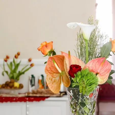 Bed & Breakfast Casa Lili Roma,