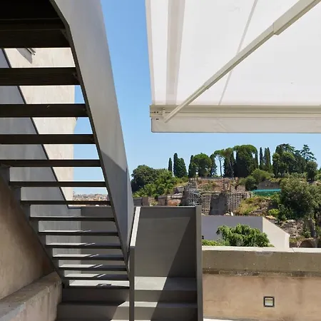 Rhinoceros 5* Roma